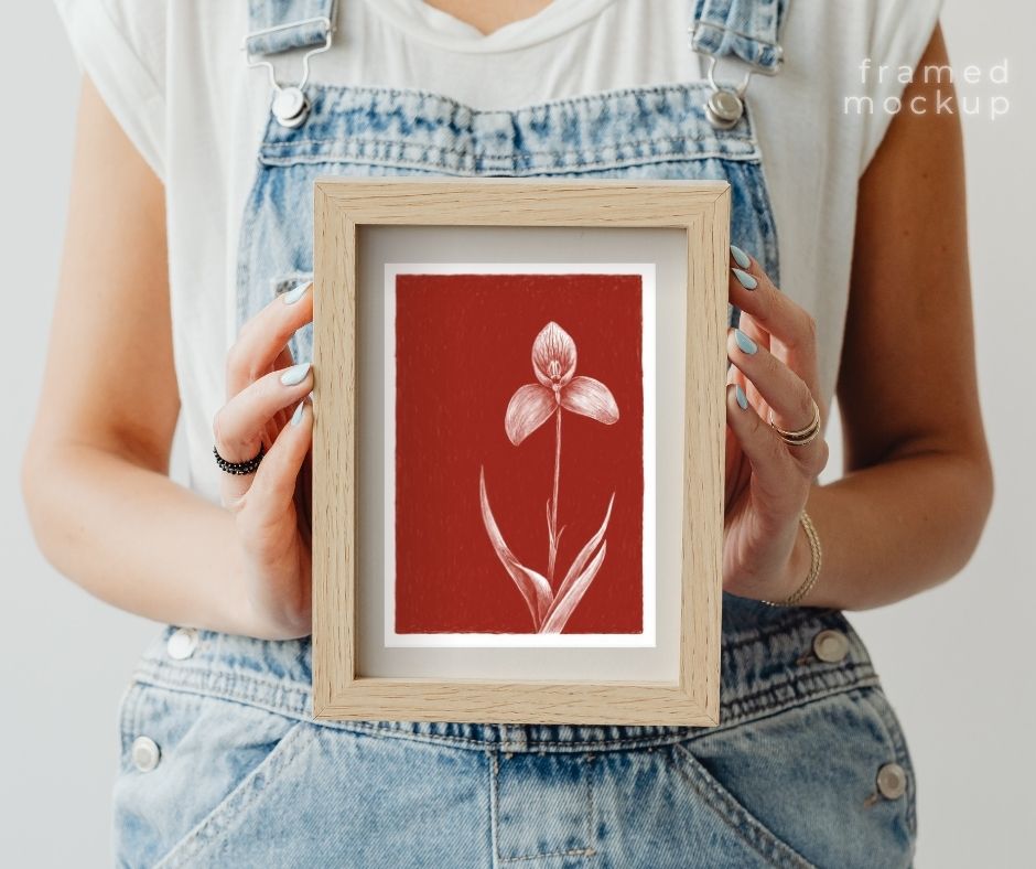 Disa Orchid (Print)