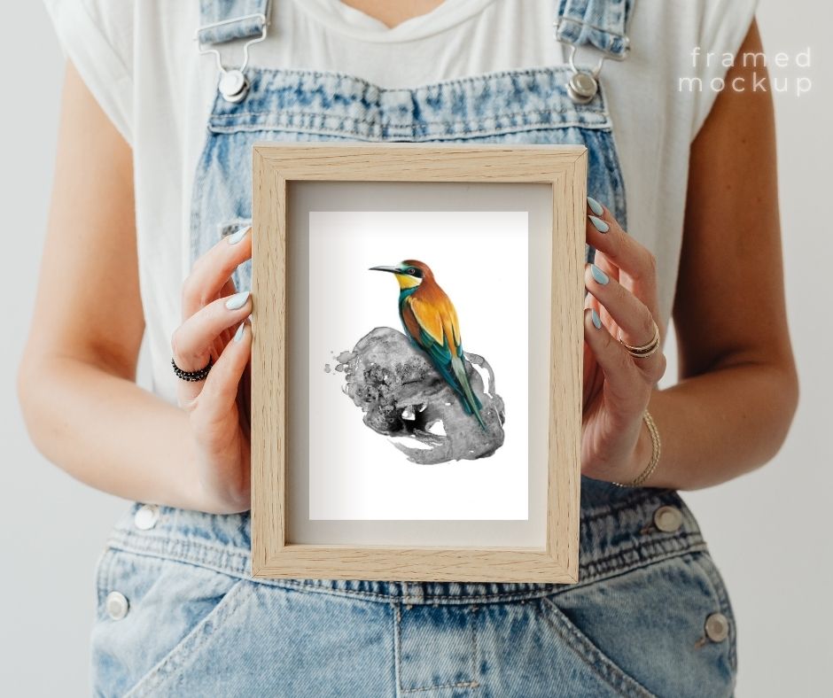 European Bee-eater (Print)