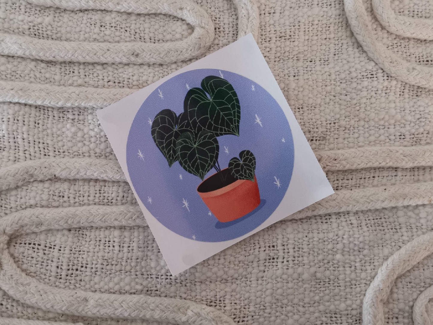 Anthurium Clarinervium License Disc Sticker