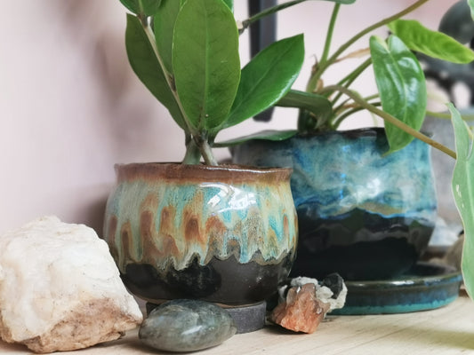 How Colour Can Make Your Plants Pop (Or Not)