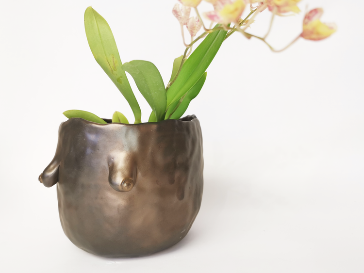 Boob pots