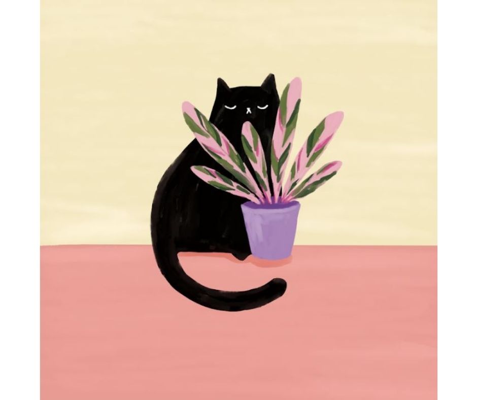 Plant Cat II (Print)