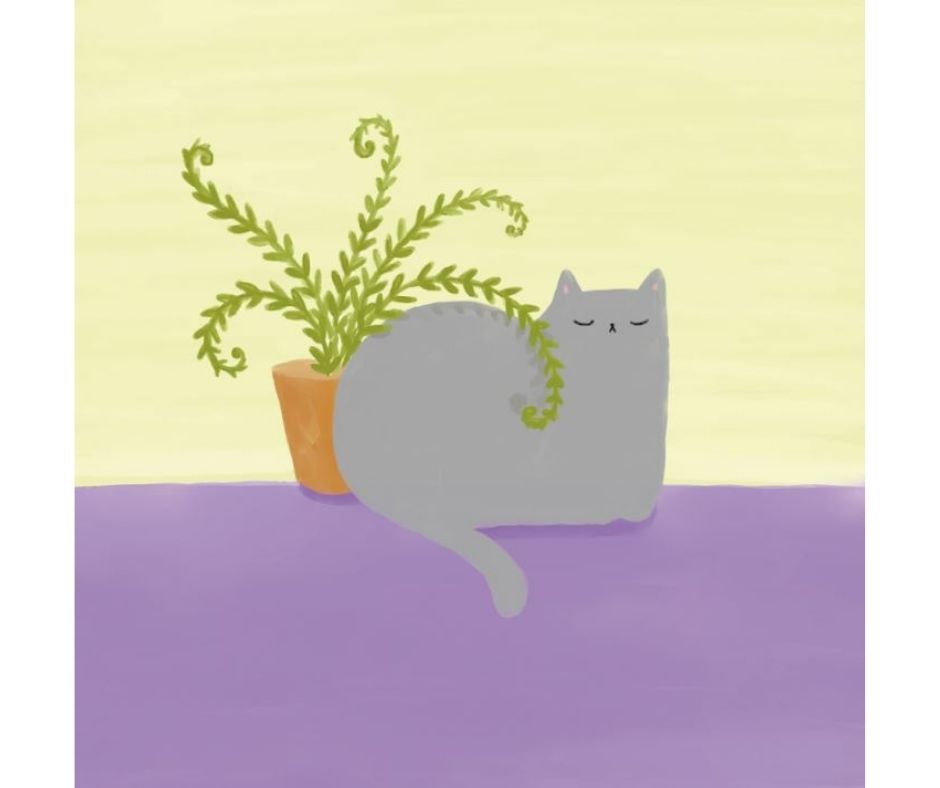 Plant Cat III (Print)
