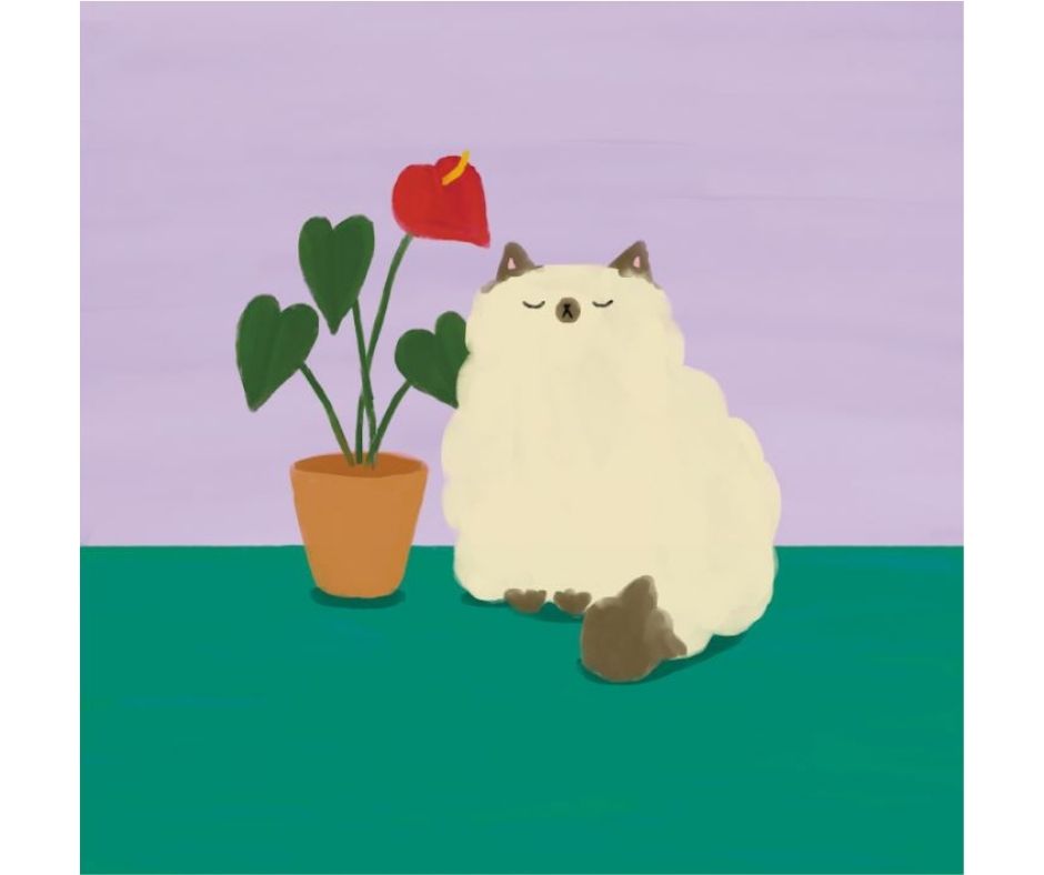 Plant Cat IV (Print)