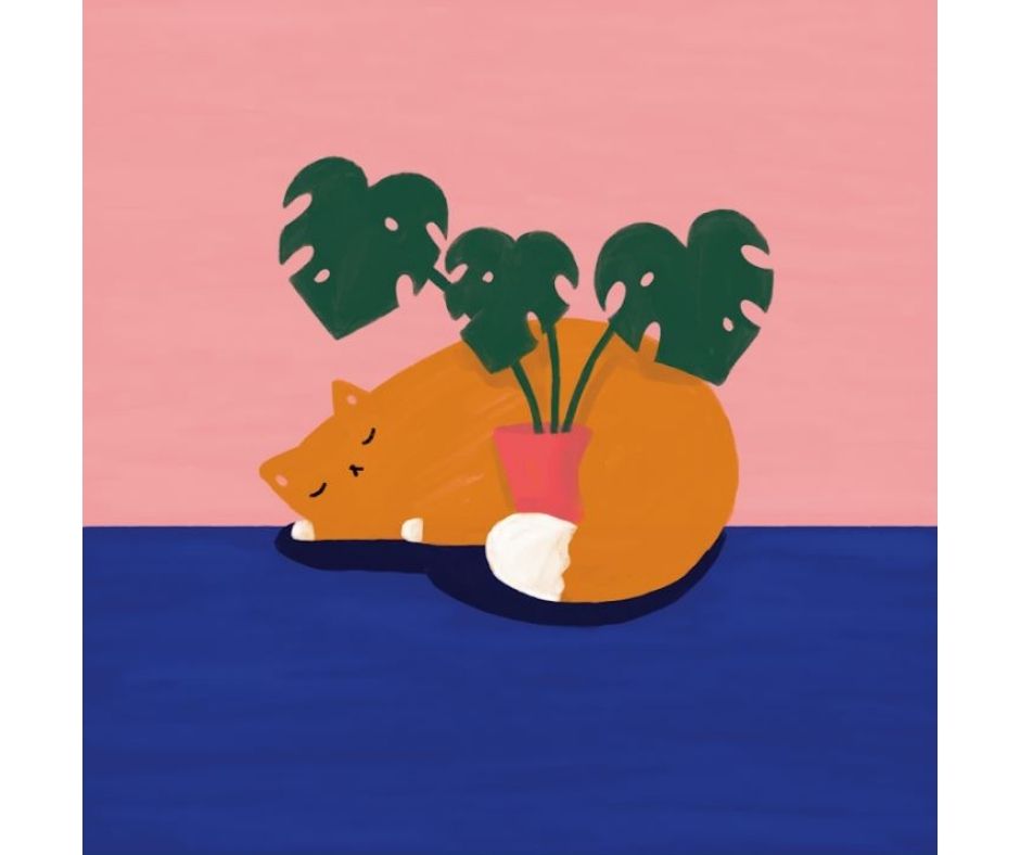 Plant Cat V (Print)