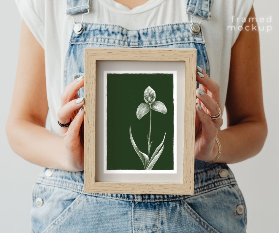 Disa Orchid (Print)