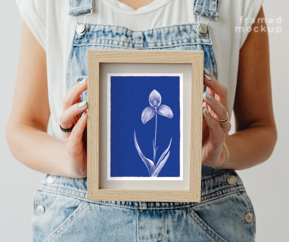 Disa Orchid (Print)