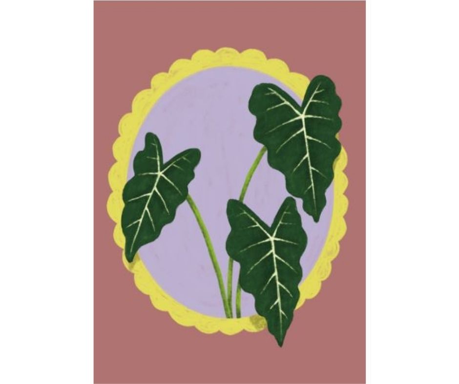 Alocasia (Print)
