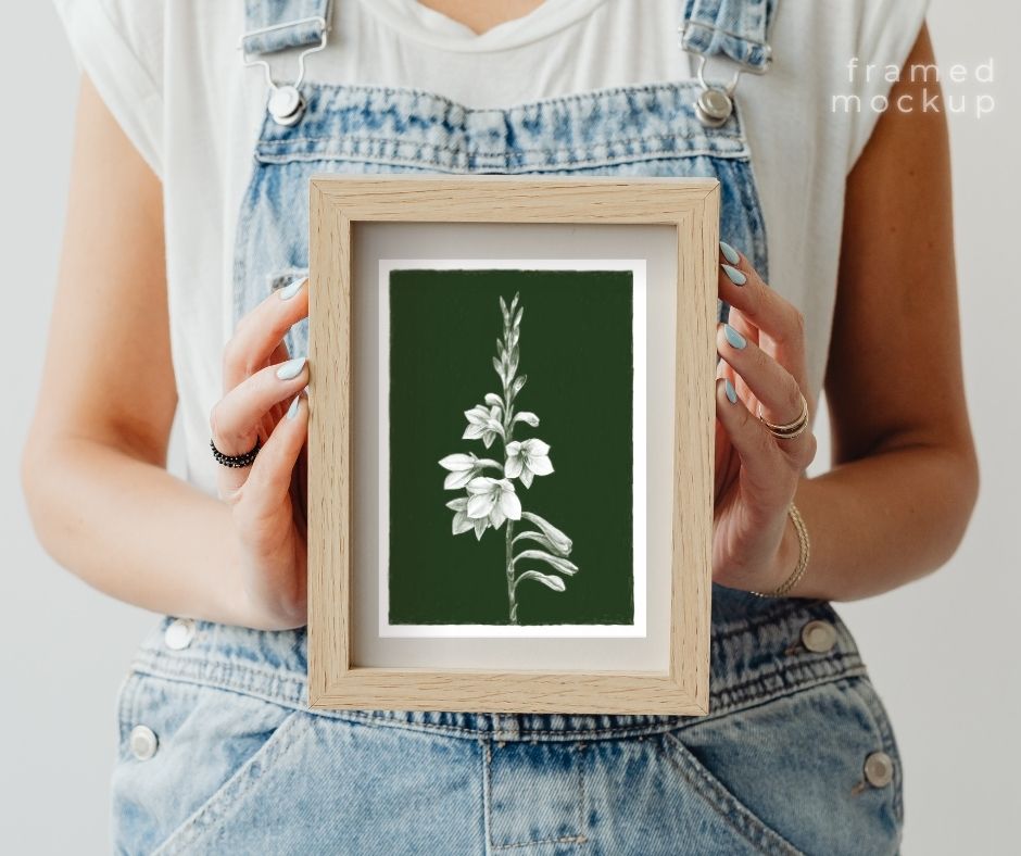 Watsonia (Print)