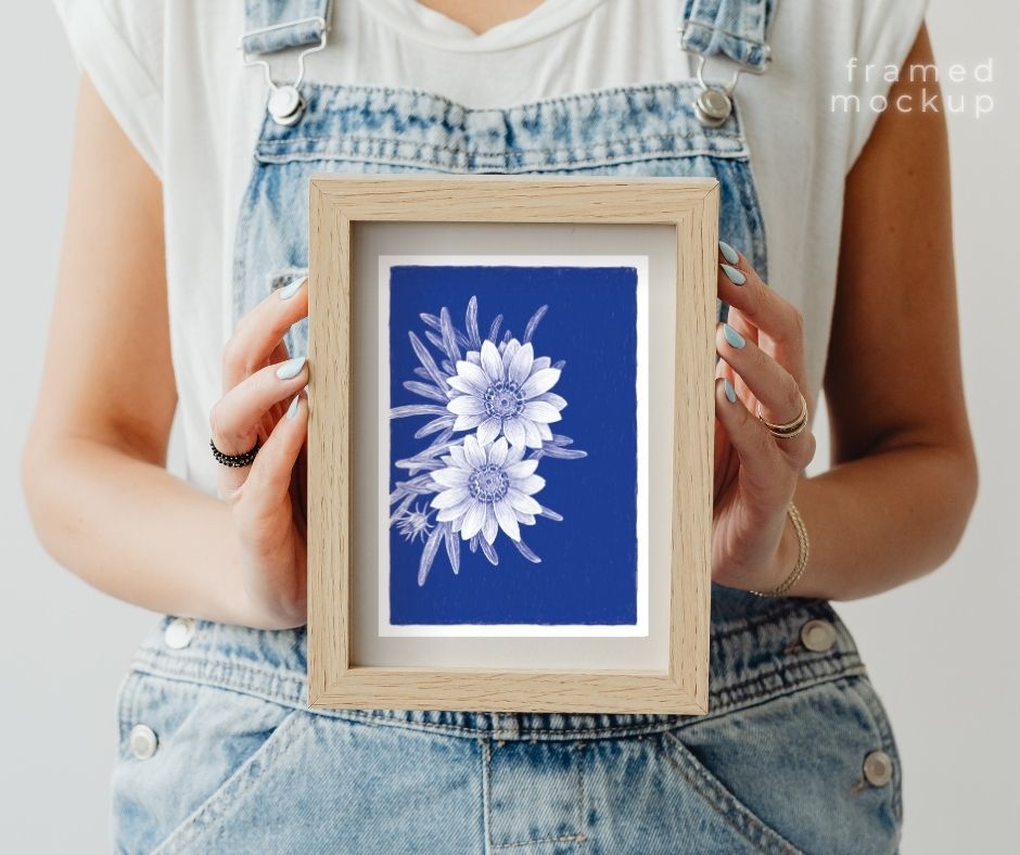 Gazania (Print)