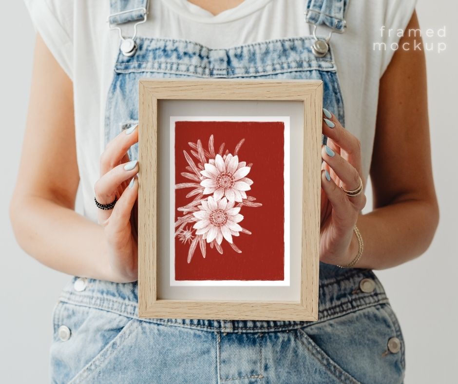 Gazania (Print)