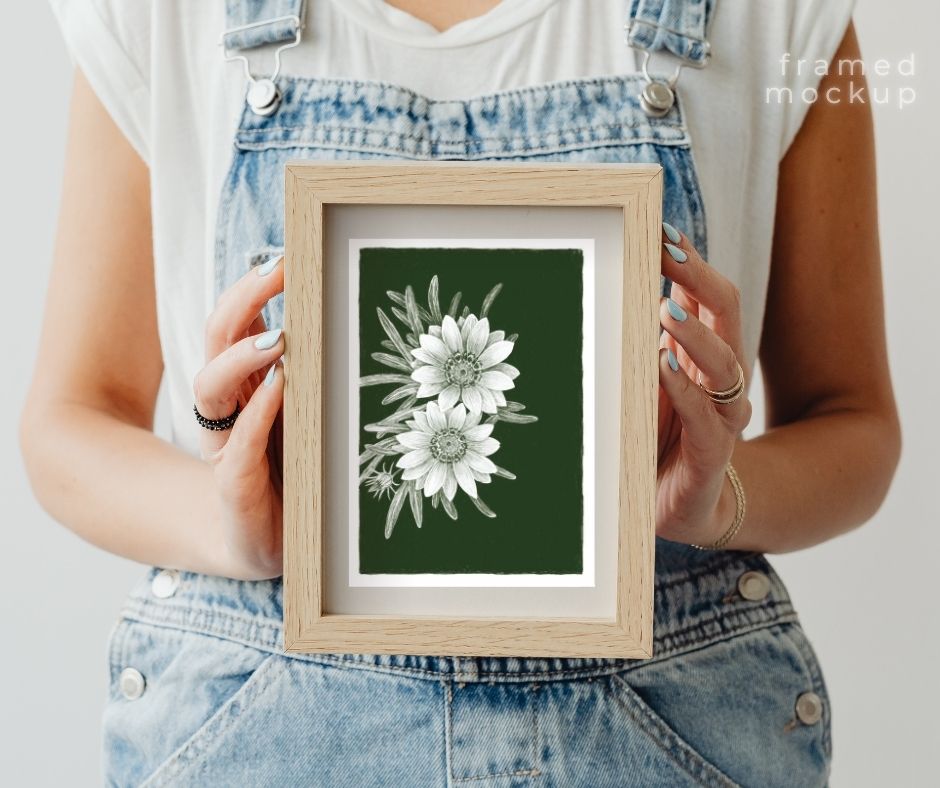 Gazania (Print)