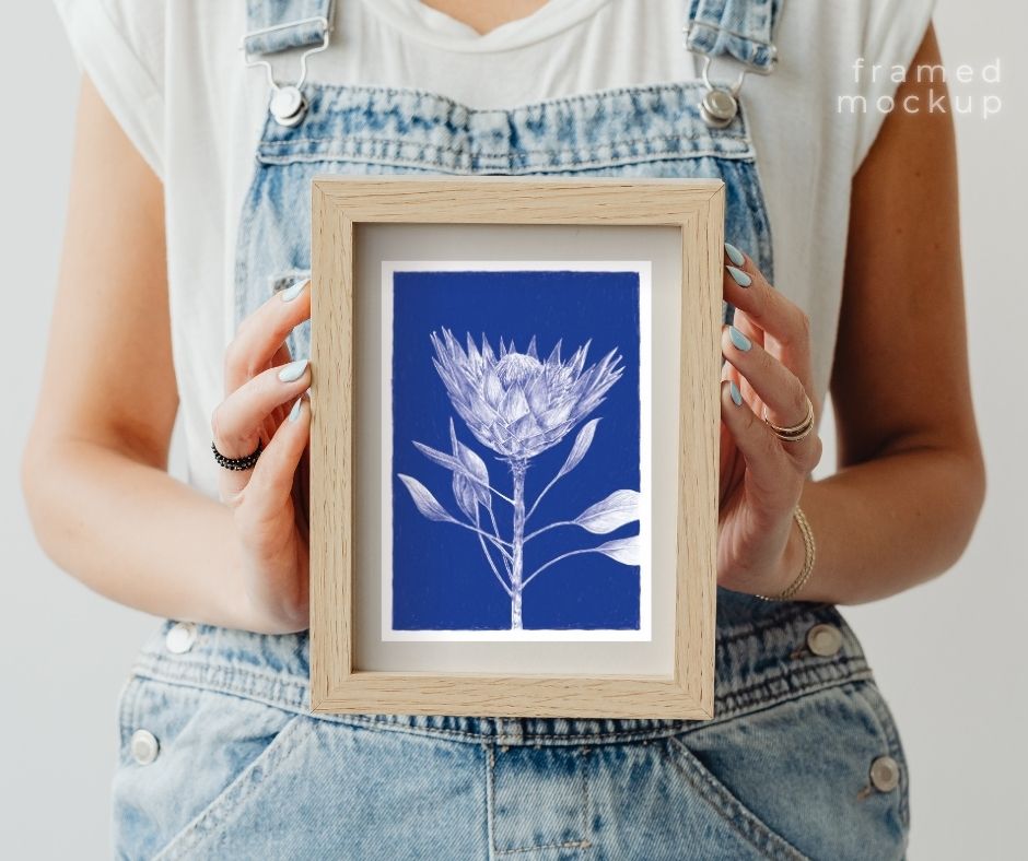 King Protea (Print)