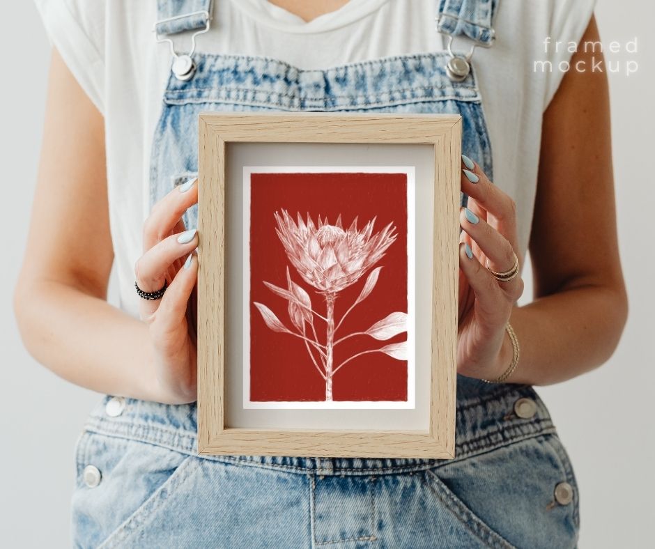 King Protea (Print)