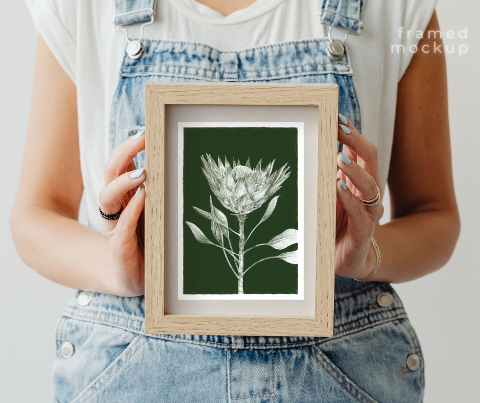 King Protea (Print)