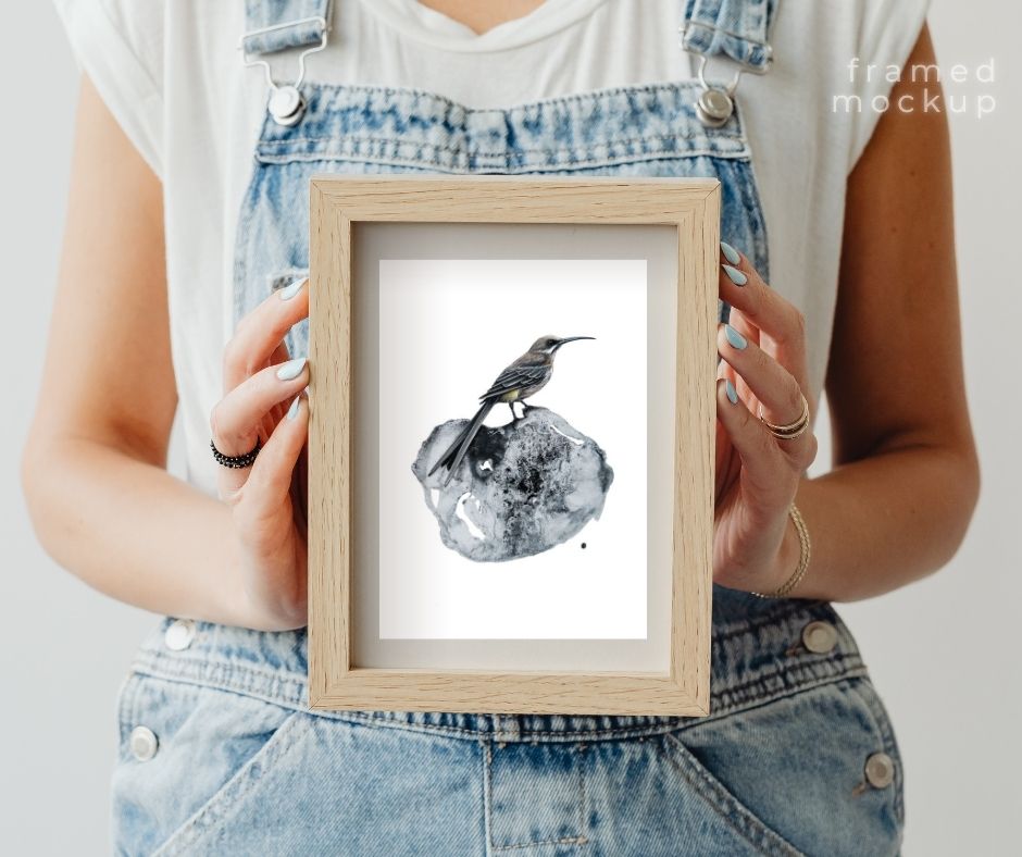 Cape Sugarbird (Print)