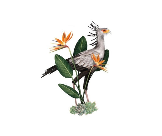 Secretary Bird (Print)