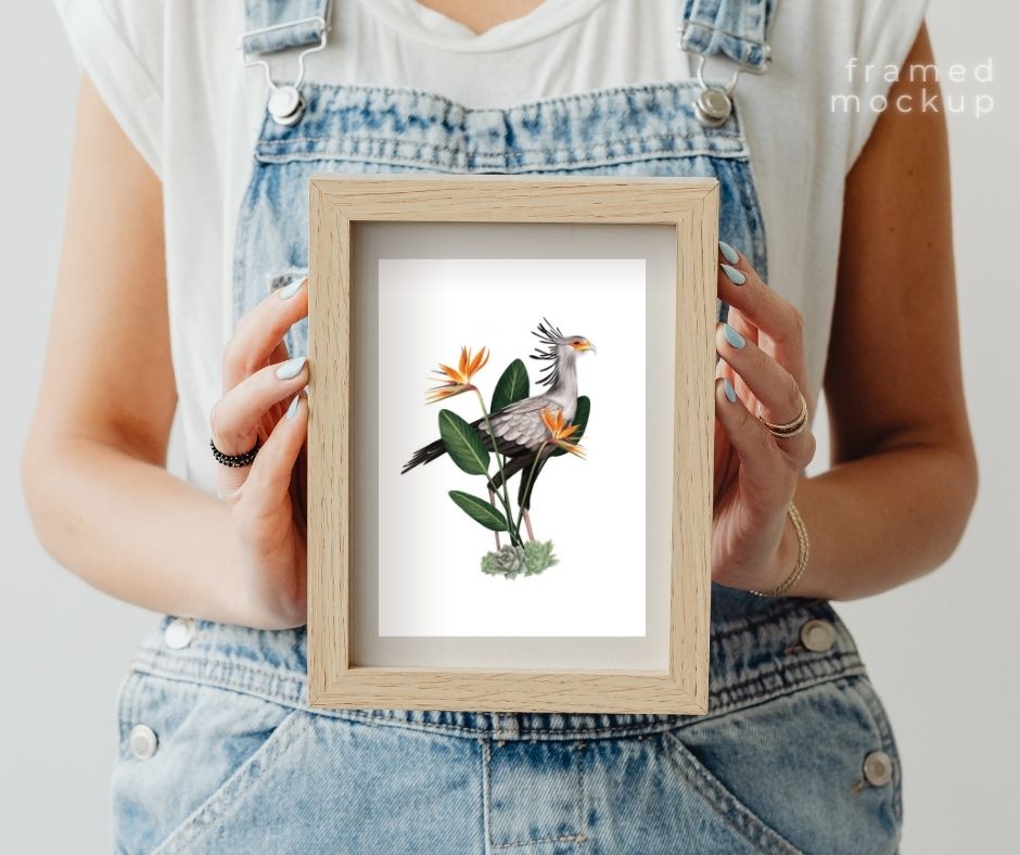 Secretary Bird (Print)