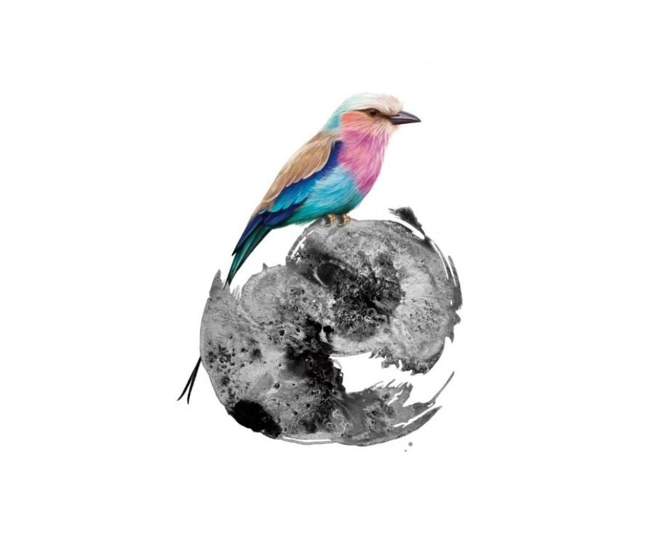Lilac Breasted Roller (Print)