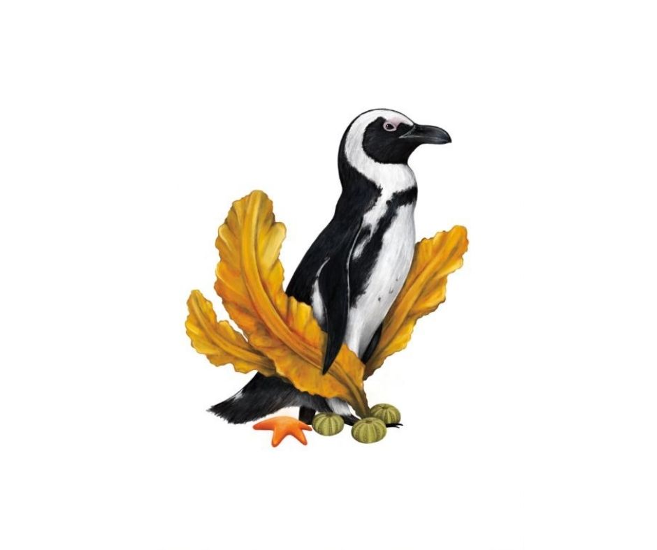 Penguin (Print)