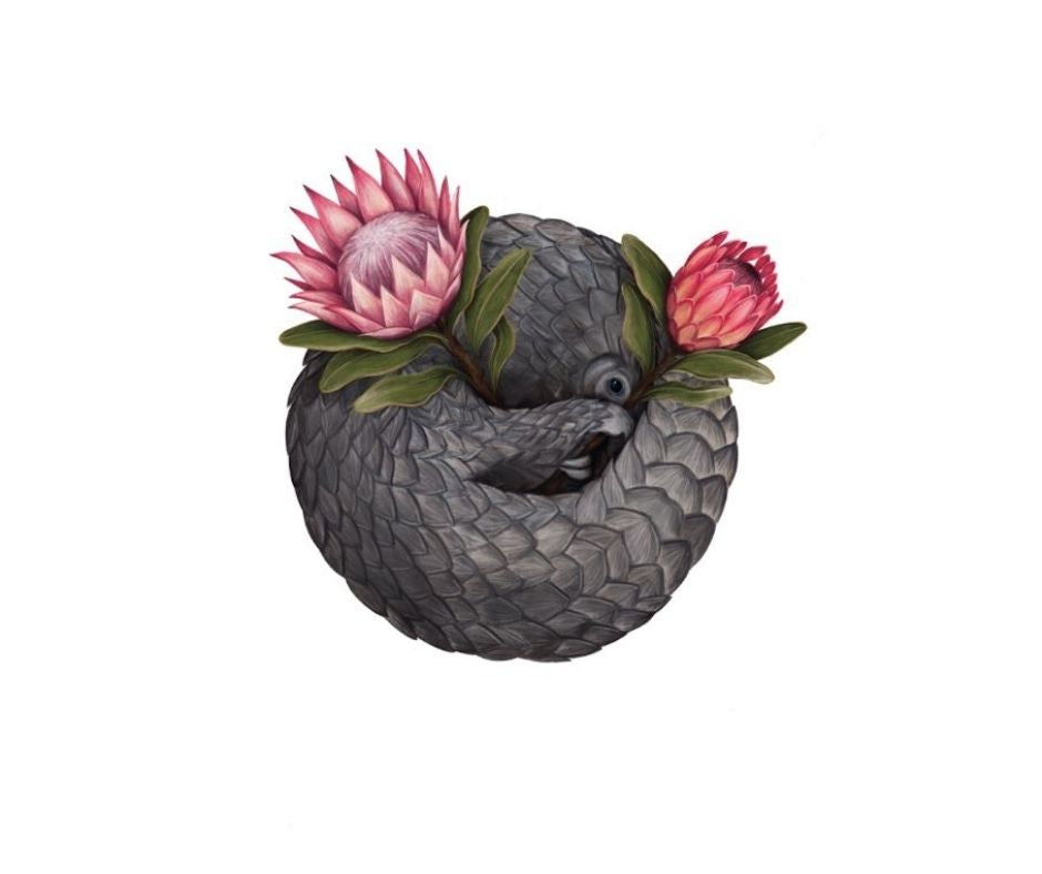 Pangolin (Print)