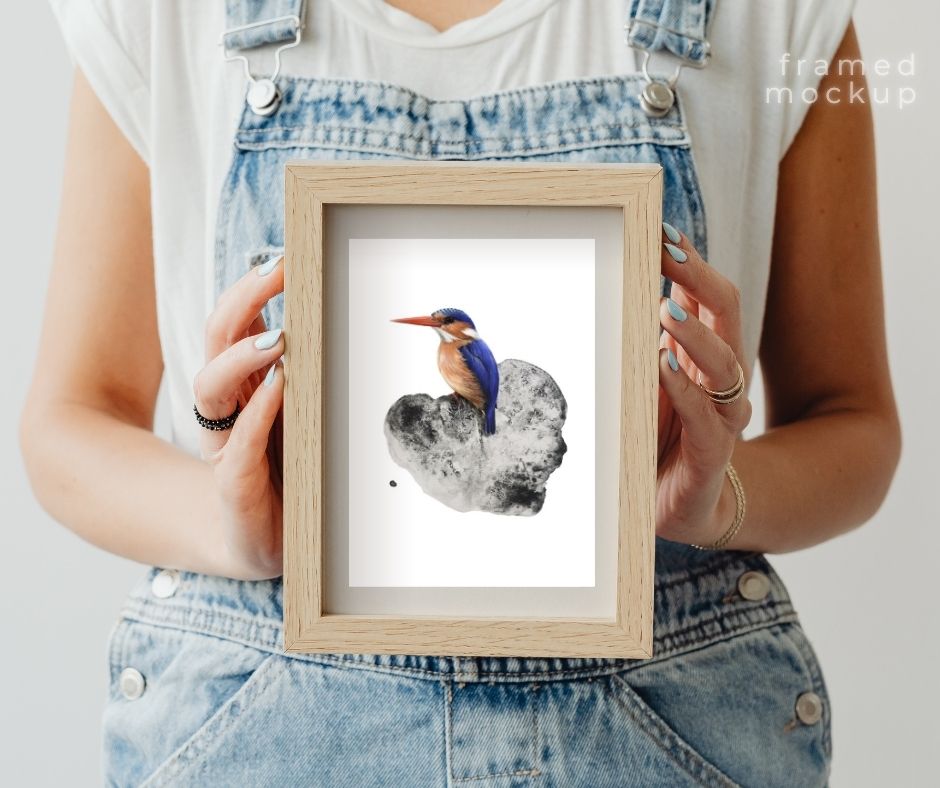 Malachite Kingfisher (Print)