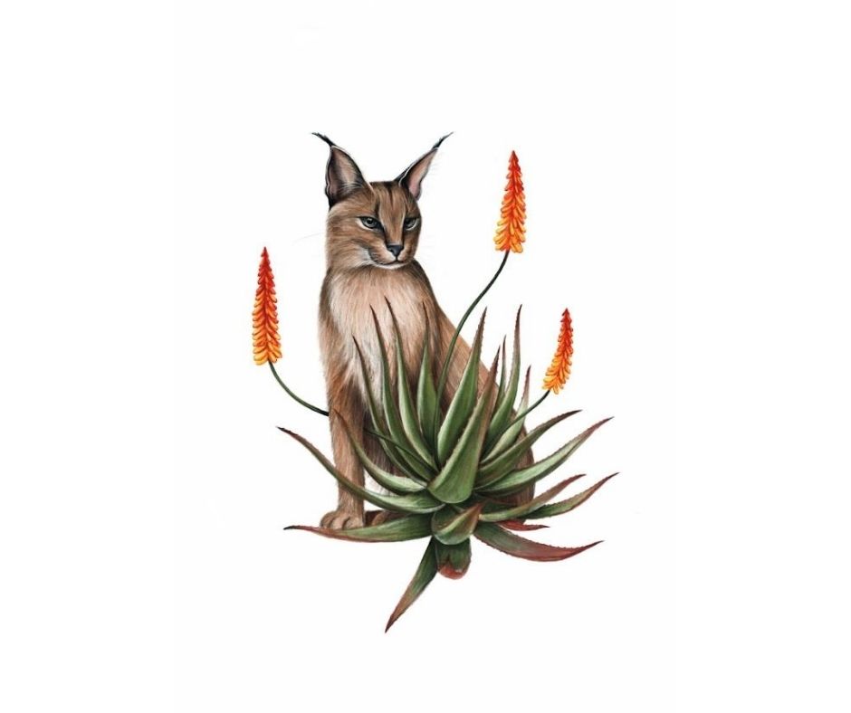 Caracal (Print)