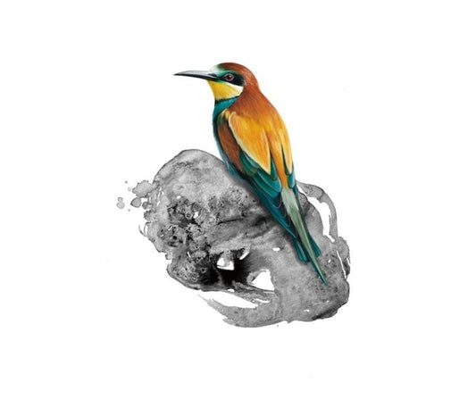 European Bee-eater (Print)