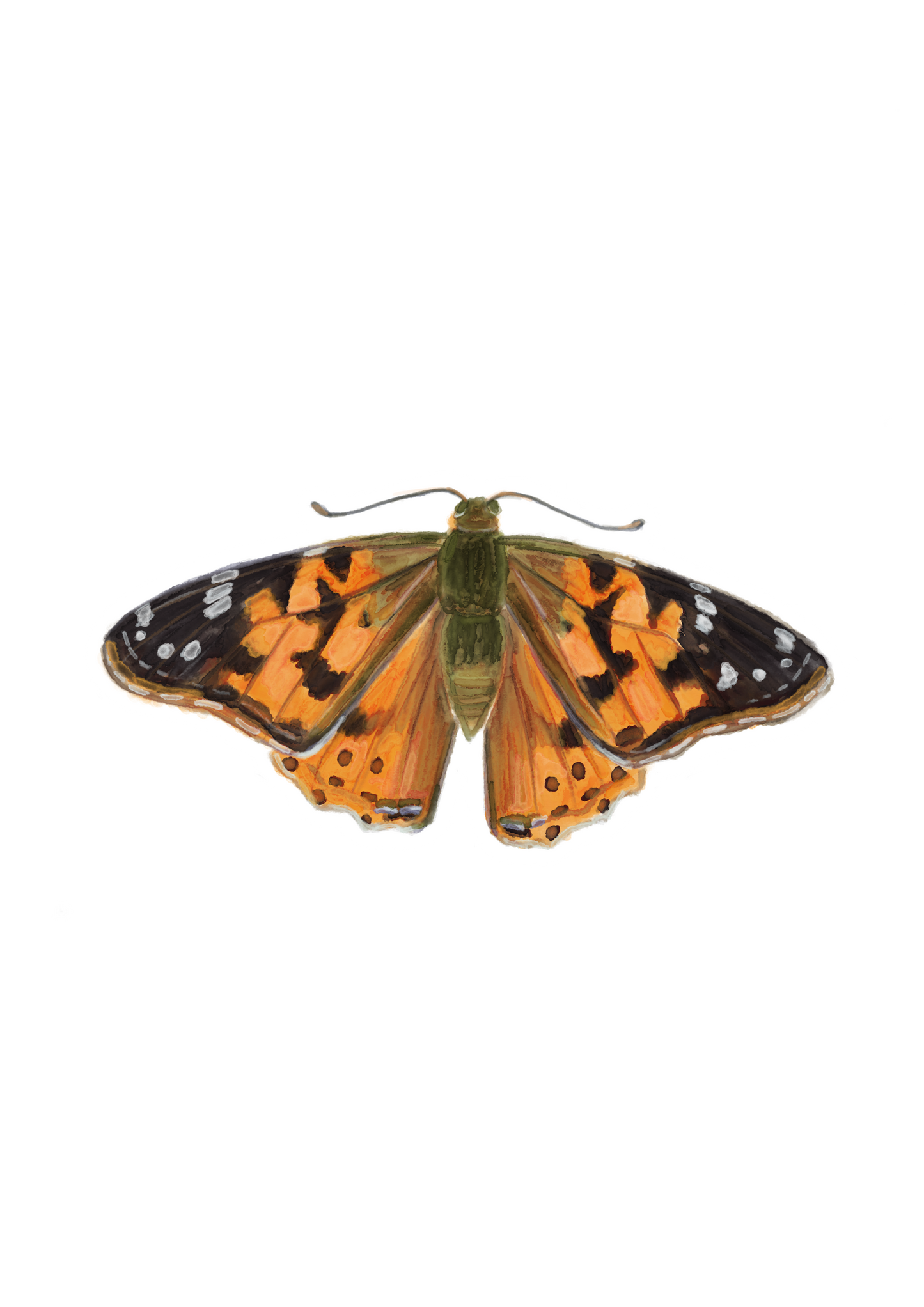 Butterfly 3 Sticker