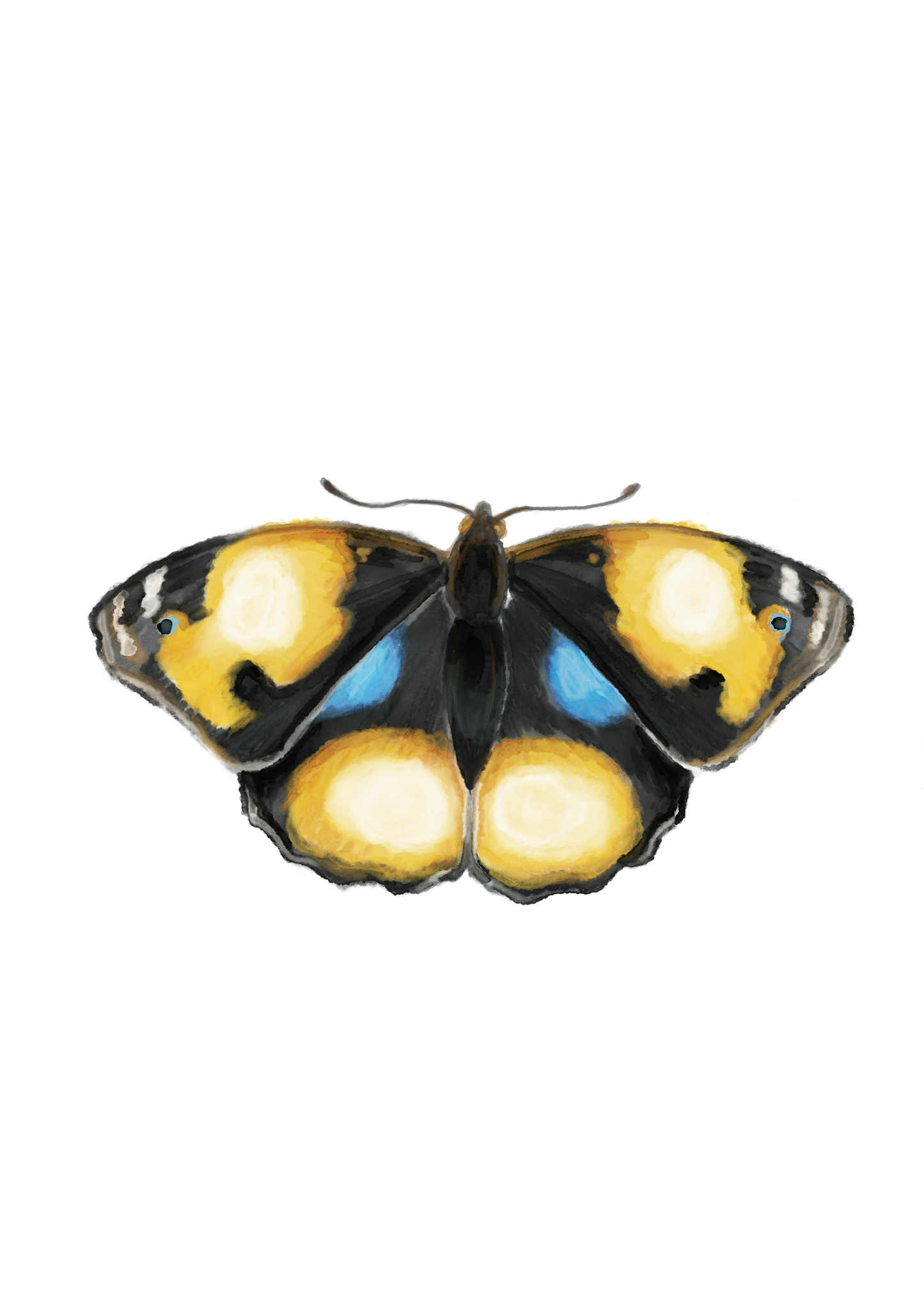 Butterfly 2 Sticker