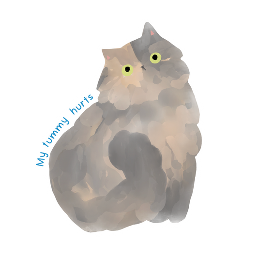 My Tummy Hurts Sticker