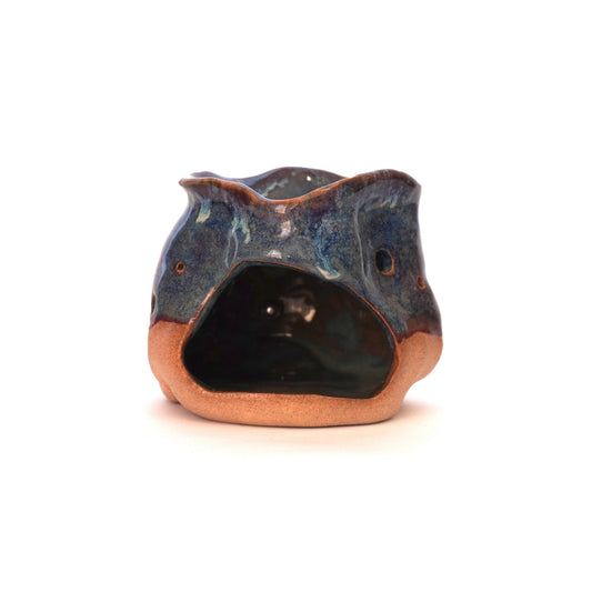 Blue Oil Burner