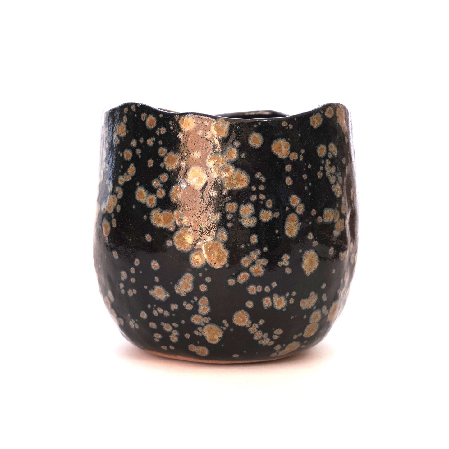 Spotty Pot