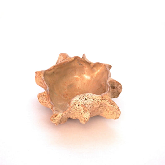 Shell Trinket Dish 1