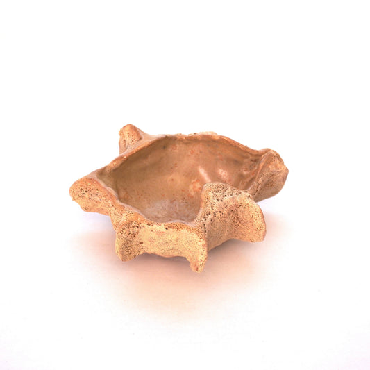 Shell Trinket Dish 3